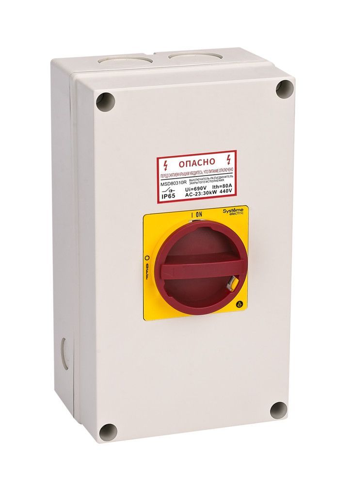 ГЛАВНЫЙ/АВАРИЙНЫЙ ВЫКЛЮЧАТЕЛЬ-РАЗЪЕДИНИТЕЛЬ 3P 100A ЗАКРЫТОГО ИСПОЛНЕНИЯ IP65 С ЗАМКОМ фото