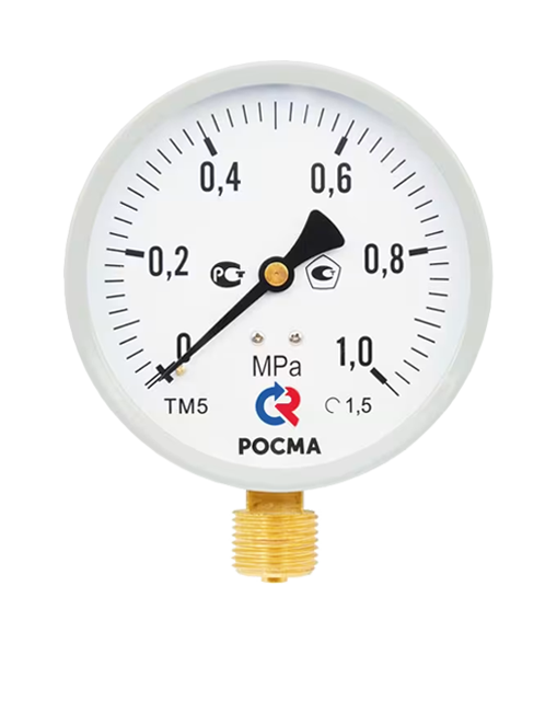 Манометр РОСМА ТМ-510Р.00 (0-6MPa) M20x1,5.1,5.М2 фото