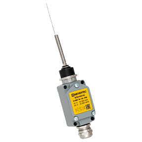 Выключатель концевой, IP66, пружинный стержень с утоньшением Meyertec MTB4-HD5169