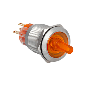 Переключатель с подсветкой, с фиксацией, 220V AC/DC, желтый, 2 положения, 1NO+1NC, IP67, нержавеющая сталь Meyertec MT67-BD211Y220