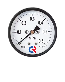 Манометр Росма ТМ-310Р.00(0-10MPa)G1/4.2,5
