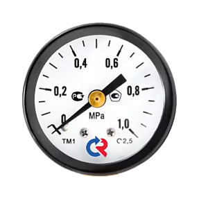 Манометр Росма ТМ-110Т.00(0-6MPa)G1/8.2,5